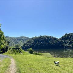 小杭坑2号营地 User Photo