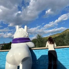阿勒泰的角落(旅行书吧) User Photo