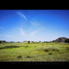 WANG YE FU XIAN YANG SHUAN User Photo