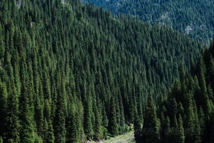 Shagou (miaopude) bishushanzhuang