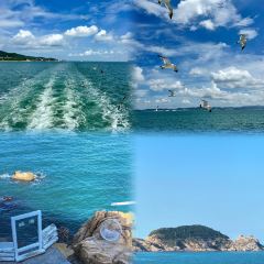 Wai Po Lao Jia User Photo