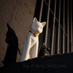 阿卡萨海景度假酒店·月夕餐厅 User Photo