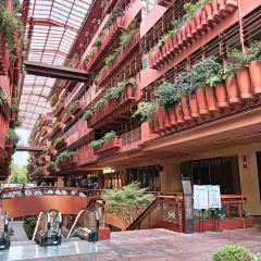 CAMINETTO User Photo