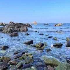 海岛日记(养马岛店) User Photo