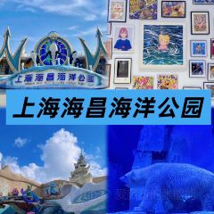 IMPRESSION FEILE User Photo