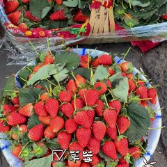 城北综合农贸市场 User Photo