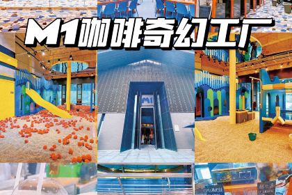 冲浪椰子鸡海鲜糟粕醋火锅(神州半岛店)