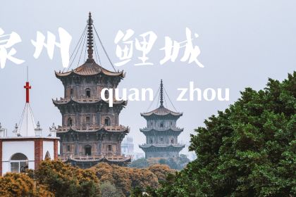 锦坡老牌姜母鸭(美食街店)