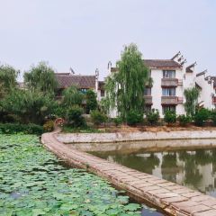 铁牛妈妈的餐厅 User Photo