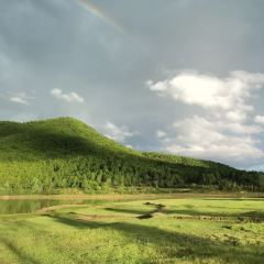 LAO ZI HAO DAN LONG SHUI KU SHENG TAI YU GU User Photo