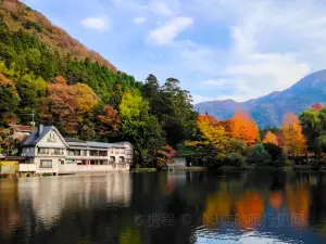 湯布院花卉村