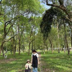 深林之梦·咖啡 User Photo