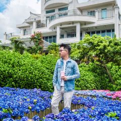 Manor Blanc User Photo