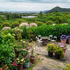 Manor Blanc User Photo