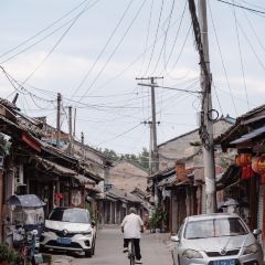 陈鸭子饭庄(固驿镇店) User Photo