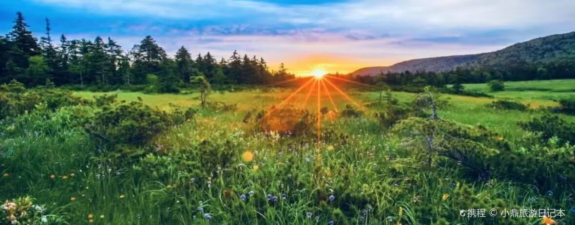 丰年居韩国烤肉(兴业小区店)