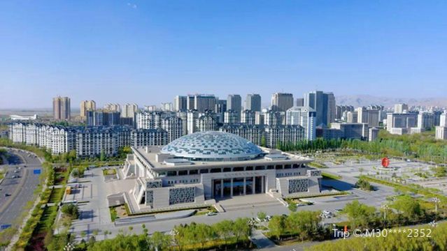 Contemporary Chinese Calligraphy Art Gallery