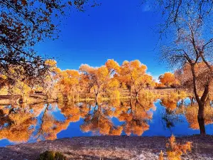 Bachu County Red Sea Scenic Area - Kashgar River Wetland Landscape Belt