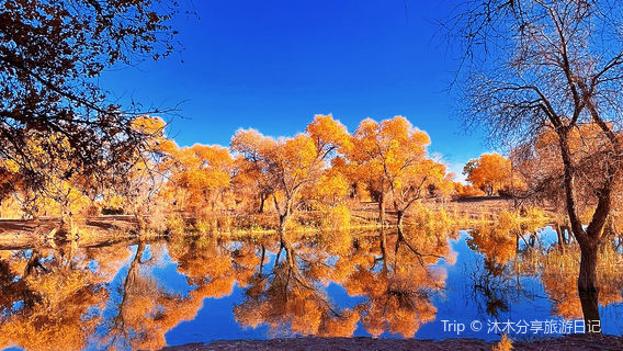 Bachu County Red Sea Scenic Area - Kashgar River Wetland Landscape Belt