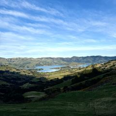 Akaroa Fish & Chips User Photo