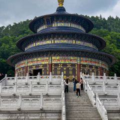 刘和隆后坡巷口反沙咸蛋黄 User Photo