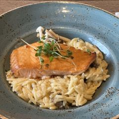 The Salmon User Photo