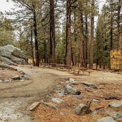 Pines Cafe at The Palm Springs Aerial Tramway Summit 여행 사진