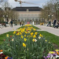 Konditorei Zauner User Photo