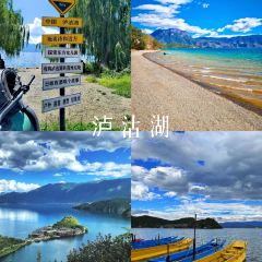 Yu Ni Yi Qi Fish Together Ecological Aquarium (Lugu Lake Branch) User Photo