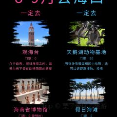 海岛糟粕醋•椰子鸡火锅(五指山路店) User Photo