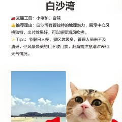 XINYUELOU User Photo