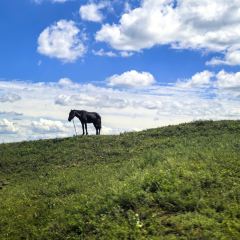 张北天外居山庄·餐厅 여행 사진