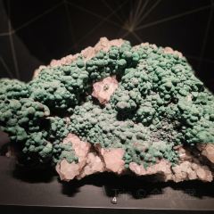 安吉自然博物院自然体验餐厅 User Photo