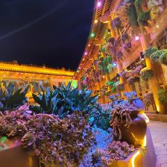 912·张宜庄园(3号店) User Photo