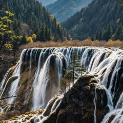 自選王大食堂張用戶圖片