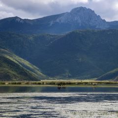 黑豆咖啡屋 User Photo