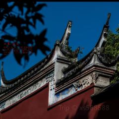 Da Fu Xing Yu Wan (Mei Shi Jie) User Photo