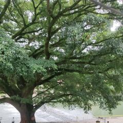 闽粤土菜馆 User Photo