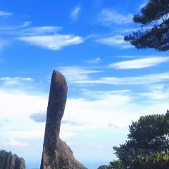 LAO MA CAI User Photo