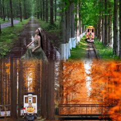 大顺土菜馆 User Photo