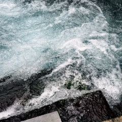 孙家糖油条 User Photo