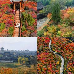 杨记灌肠(食品街店) User Photo