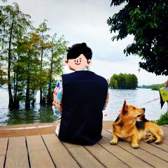 IN MY HEART User Photo