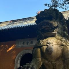 RONG CUISINE 여행 사진