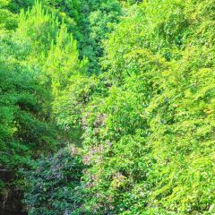 ZAI SHAN YE User Photo