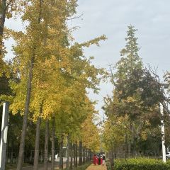 袁姐萝卜饺子(中山路店) User Photo