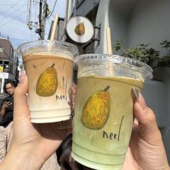 BOTANI:CURRY User Photo