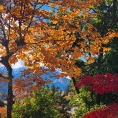 VERTERE Taproom User Photo