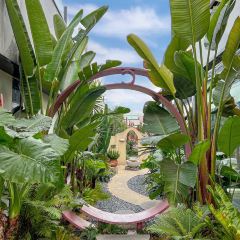 别样·东坡火锅(东坡湖广场店) User Photo