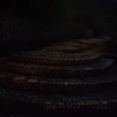 岭边亭·乐百味星空屋 User Photo